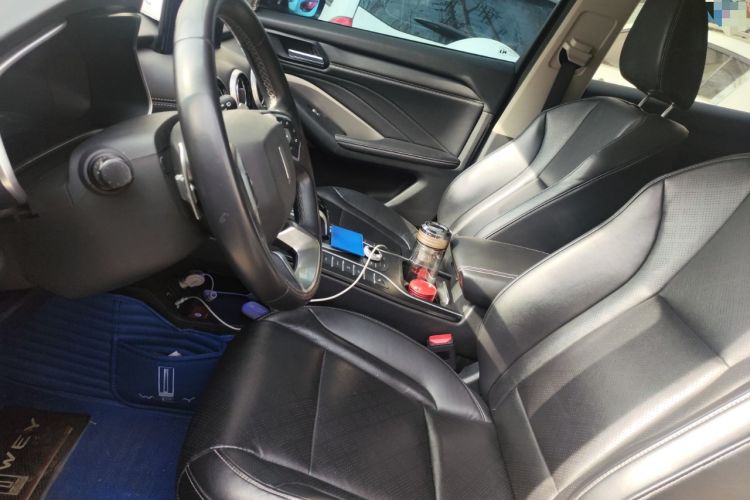 Used Wey VV6 2018 2.0T Two-Wheel-Drive Ultra-Luxury Version China V Standard Left Front Seat