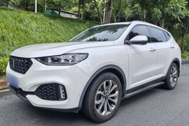 Used Wey VV6 2018 2.0T Two-Wheel Drive Flagship Version China V Standard