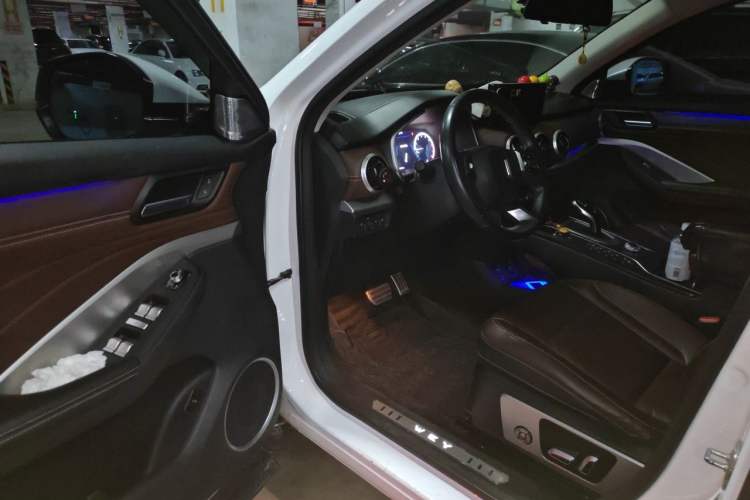 Used Wey VV6 2018 2.0T Two-Wheel-Drive Ultra-Luxury Version China V Standard Driver Seat