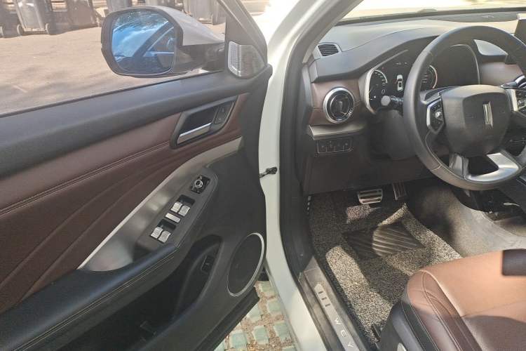 Used Wey VV6 2018 2.0T Two-Wheel-Drive Ultra-Luxury Version China V Standard Driver Seat