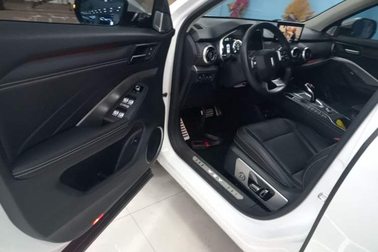 Used Wey VV6 2018 2.0T Two-Wheel-Drive Ultra-Luxury Version China V Standard Driver Seat