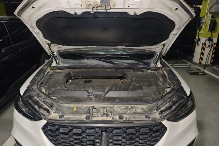 Used Wey VV6 2018 2.0T Two-Wheel-Drive Ultra-Luxury Version China V Standard Engine Bay