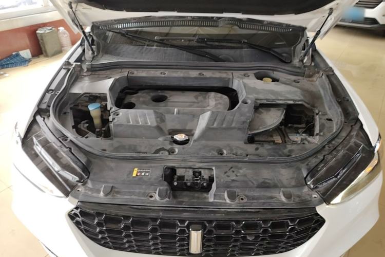 Used Wey VV6 2018 2.0T Two-Wheel-Drive Ultra-Luxury Version China V Standard Engine Bay
