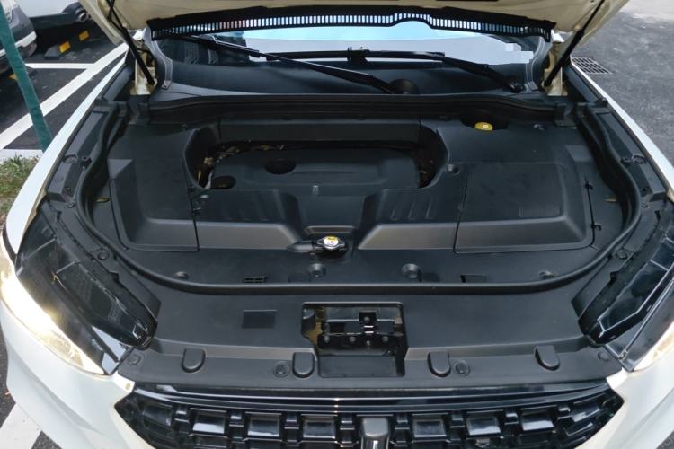 Used Wey VV6 2018 2.0T Two-Wheel-Drive Ultra-Luxury Version China V Standard Engine Bay