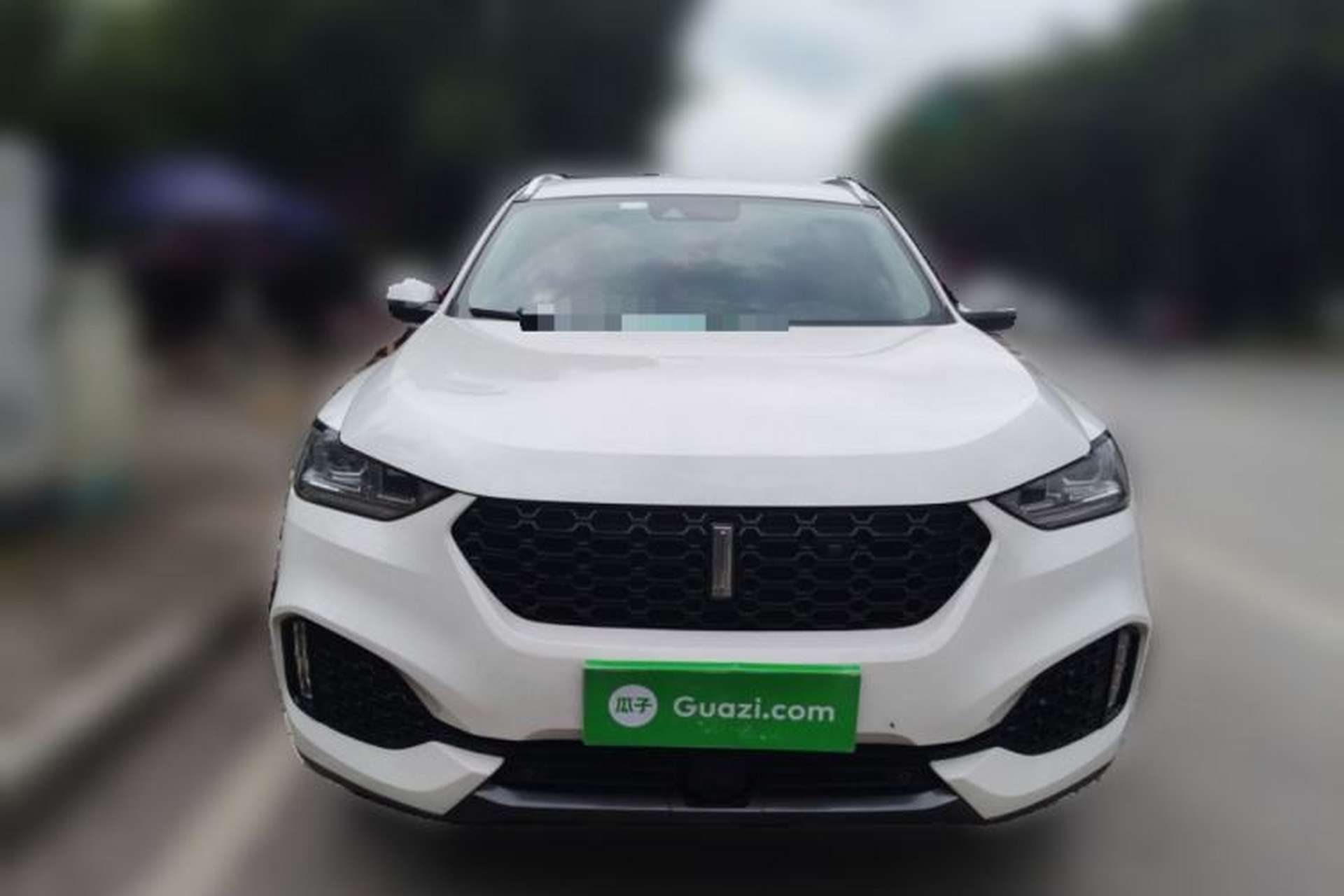 Used Wey VV6 2018 2.0T Two-Wheel-Drive Ultra-Luxury Version China V Standard Exterior 1