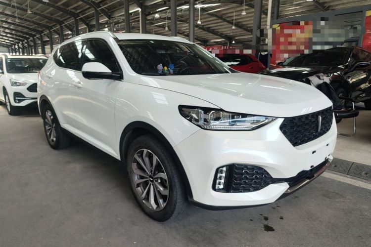 Used Wey VV6 2018 2.0T Two-Wheel-Drive Ultra-Luxury Version China V Standard Exterior 1