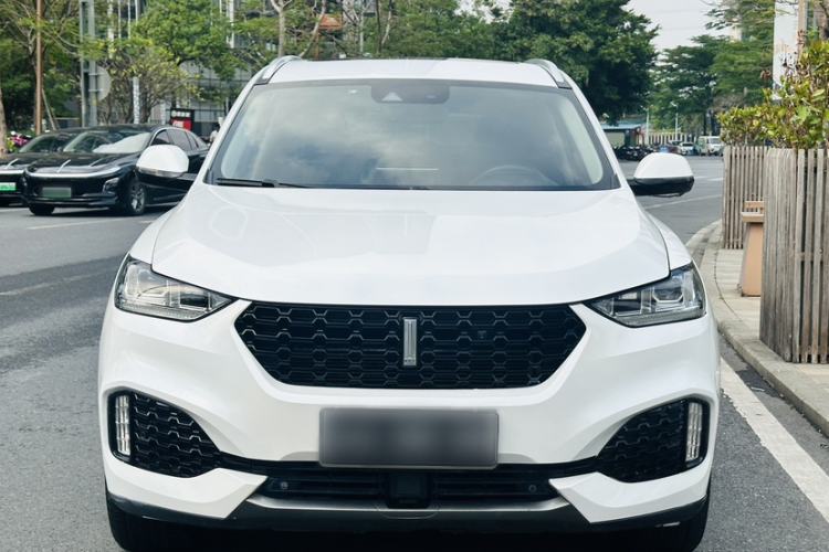 Used Wey VV6 2018 2.0T Four-Wheel Drive Flagship Version China V Standard Exterior 11