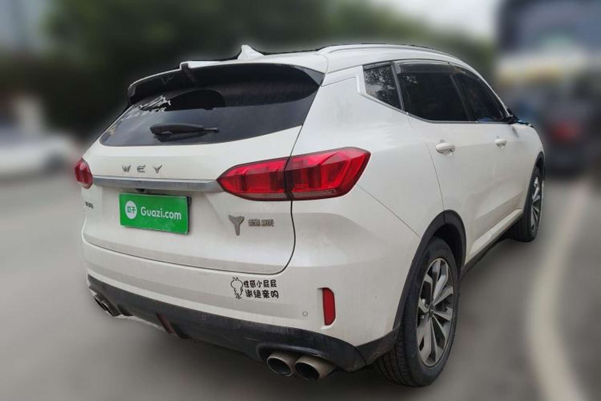 Used Wey VV6 2018 2.0T Two-Wheel-Drive Ultra-Luxury Version China V Standard Exterior 5