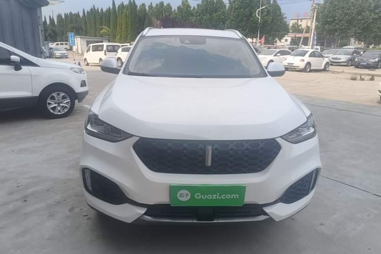 Used Wey VV6 2018 2.0T Two-Wheel-Drive Ultra-Luxury Version China V Standard Front