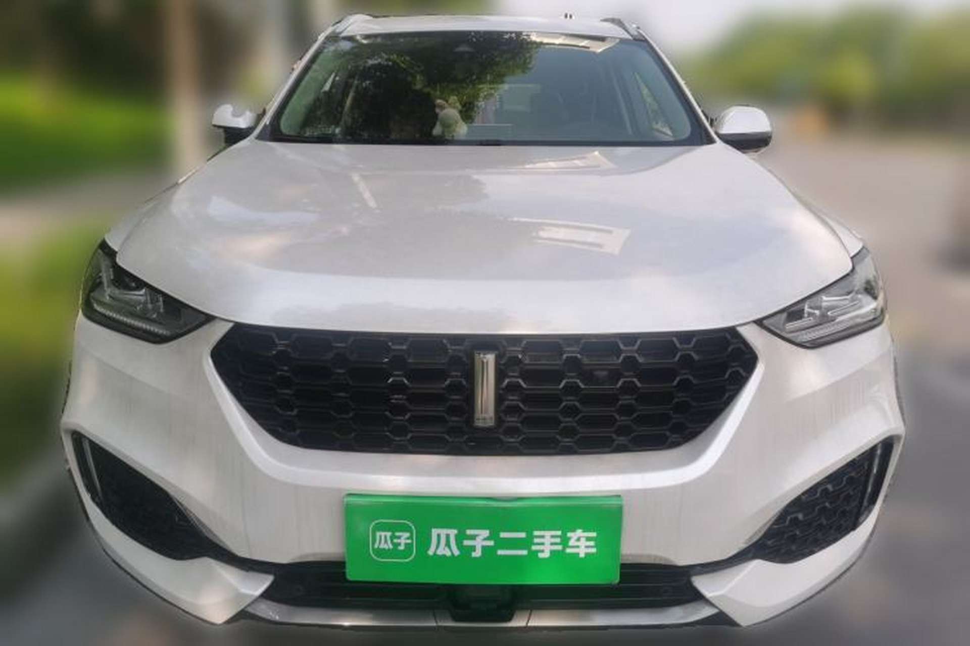 Used Wey VV6 2018 2.0T Two-Wheel-Drive Ultra-Luxury Version China V Standard Front