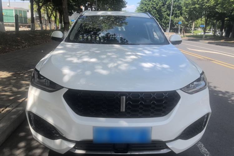 Used Wey VV6 2018 2.0T Two-Wheel Drive Flagship Version China V Standard Front