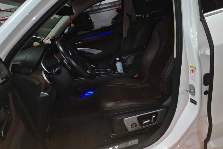 Used Wey VV6 2018 2.0T Two-Wheel-Drive Ultra-Luxury Version China V Standard Left Front Seat