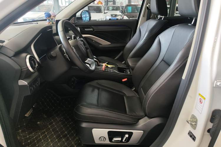 Used Wey VV6 2018 2.0T Two-Wheel-Drive Ultra-Luxury Version China V Standard Left Front Seat