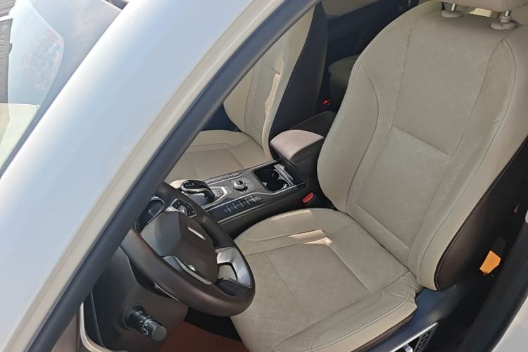 Used Wey VV6 2018 2.0T Two-Wheel Drive Flagship Version China V Standard Left Front Seat
