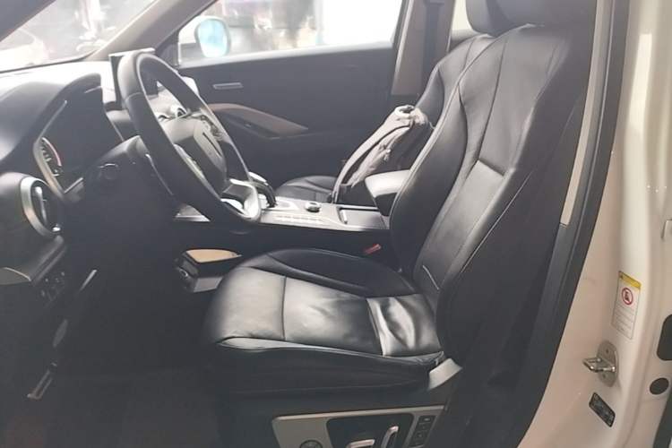 Used Wey VV6 2018 2.0T Four-Wheel Drive Flagship Version China V Standard Left Front Seat