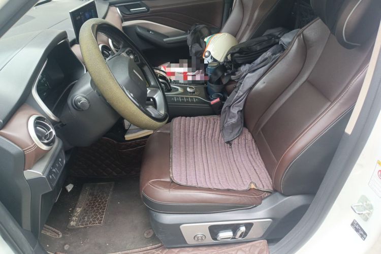 Used Wey VV6 2018 2.0T Two-Wheel-Drive Ultra-Luxury Version China V Standard Left Front Seat