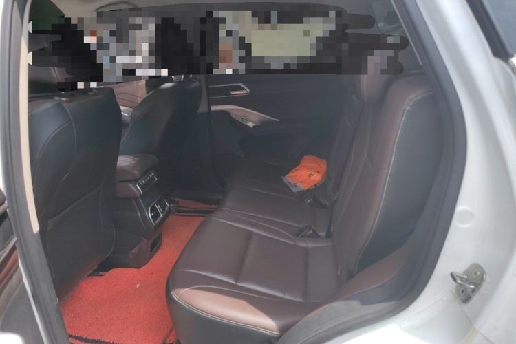 Used Wey VV6 2018 2.0T Two-Wheel-Drive Ultra-Luxury Version China V Standard Left Rear Seat