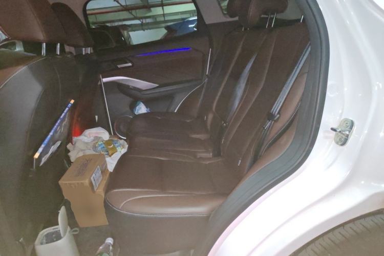 Used Wey VV6 2018 2.0T Two-Wheel-Drive Ultra-Luxury Version China V Standard Left Rear Seat