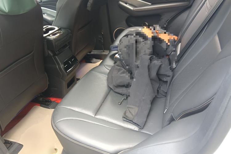 Used Wey VV6 2018 2.0T Two-Wheel-Drive Ultra-Luxury Version China V Standard Left Rear Seat