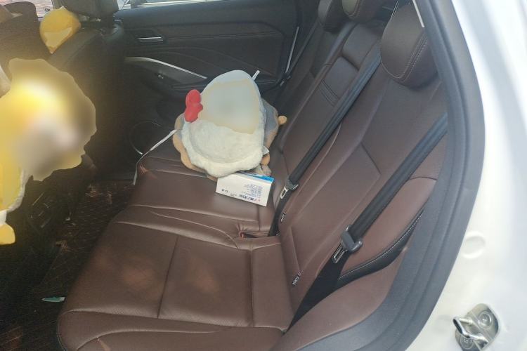 Used Wey VV6 2018 2.0T Two-Wheel-Drive Ultra-Luxury Version China V Standard Left Rear Seat