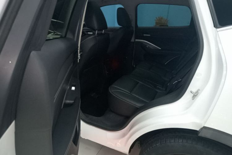Used Wey VV6 2018 2.0T Two-Wheel-Drive Ultra-Luxury Version China V Standard Left Rear Seat