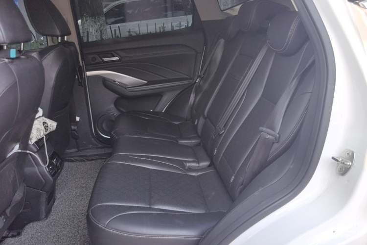 Used Wey VV6 2018 2.0T Two-Wheel-Drive Ultra-Luxury Version China V Standard Left Rear Seat