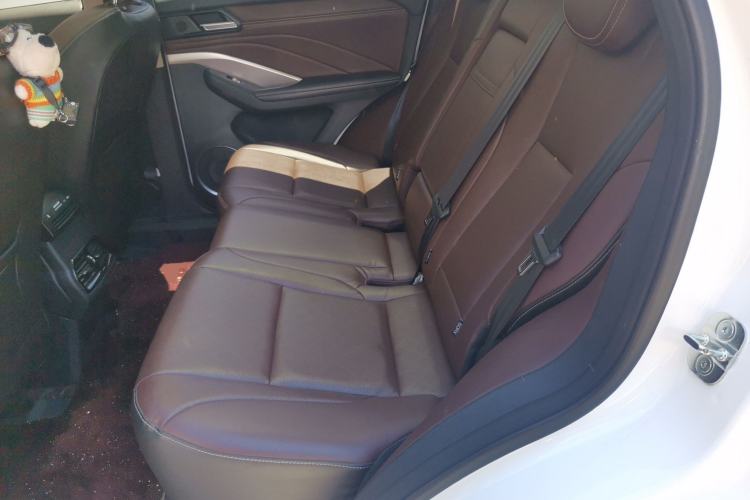 Used Wey VV6 2018 2.0T Two-Wheel-Drive Ultra-Luxury Version China V Standard Left Rear Seat