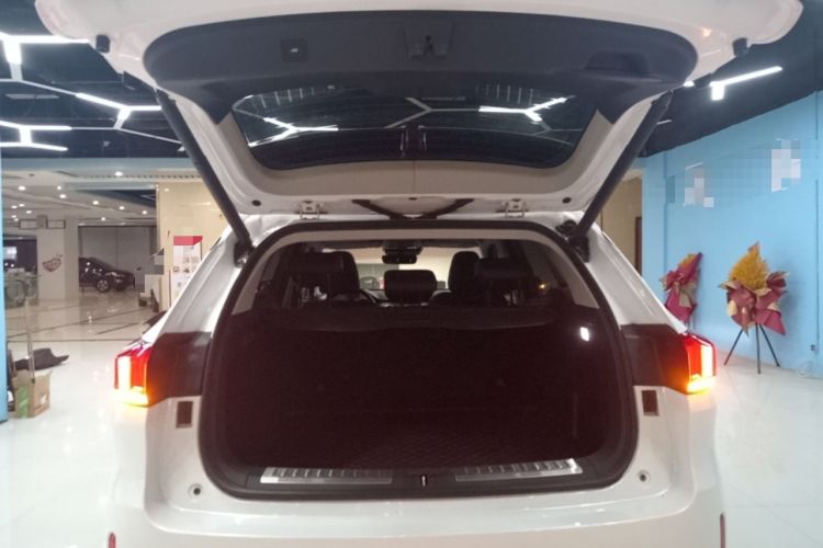 Used Wey VV6 2018 2.0T Two-Wheel-Drive Ultra-Luxury Version China V Standard Trunk