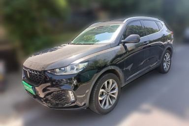 Used Wey VV6 2019 2.0T Two-Wheel-Drive Ultra-Luxury Version China VI Standard