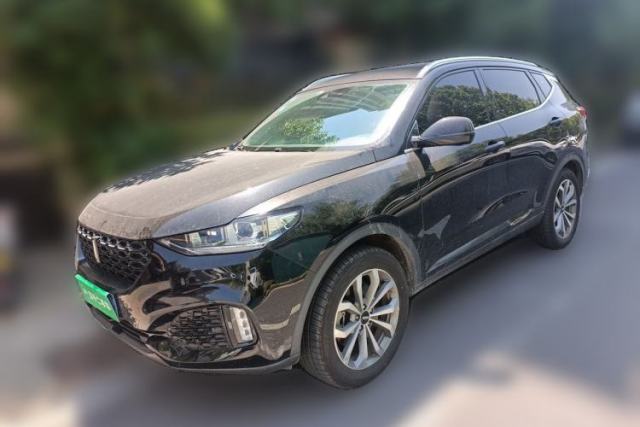 Used Wey VV6 2019 2.0T Two-Wheel-Drive Ultra-Luxury Version China VI Standard
