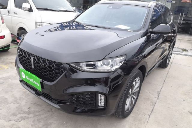 Used Wey VV6 2019 2.0T Two-Wheel-Drive Ultra-Luxury Version China VI Standard