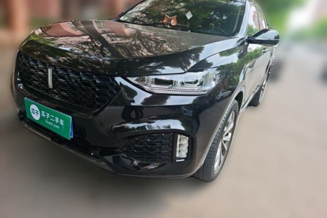 Used Wey VV6 2019 2.0T Two-Wheel-Drive Ultra-Luxury Version China VI Standard