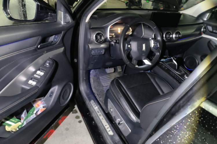 Used Wey VV6 2019 2.0T Two-Wheel-Drive Ultra-Luxury Version China VI Standard Driver Seat