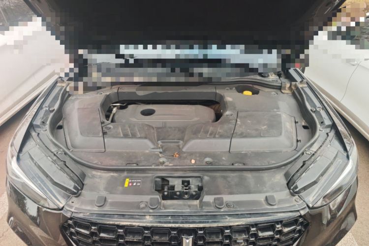 Used Wey VV6 2019 2.0T Two-Wheel-Drive Ultra-Luxury Version China VI Standard Engine Bay