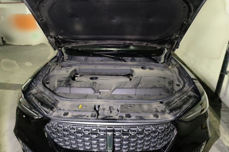 Used Wey VV6 2019 2.0T Two-Wheel-Drive Ultra-Luxury Version China VI Standard Engine Bay
