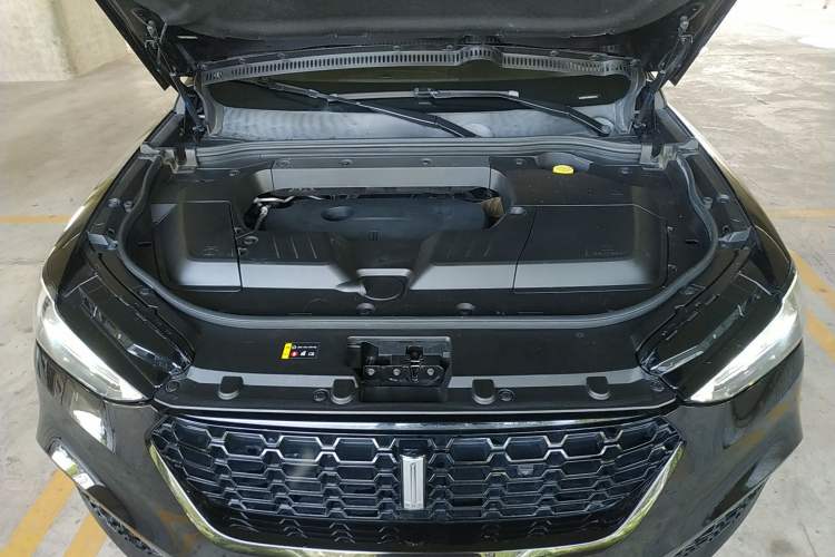 Used Wey VV6 2019 2.0T Two-Wheel-Drive Flagship Version China VI Standard Engine Bay