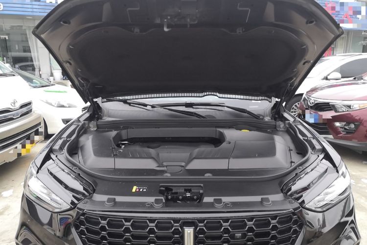 Used Wey VV6 2019 2.0T Two-Wheel-Drive Ultra-Luxury Version China VI Standard Engine Bay
