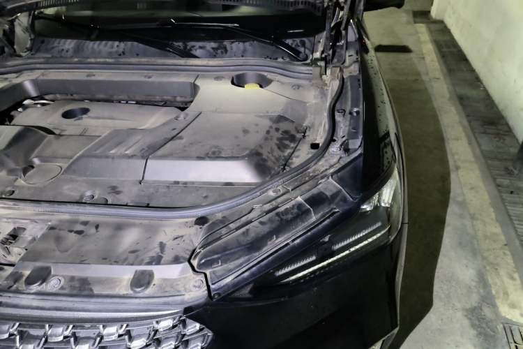 Used Wey VV6 2019 2.0T Two-Wheel-Drive Ultra-Luxury Version China VI Standard Engine Bay Left