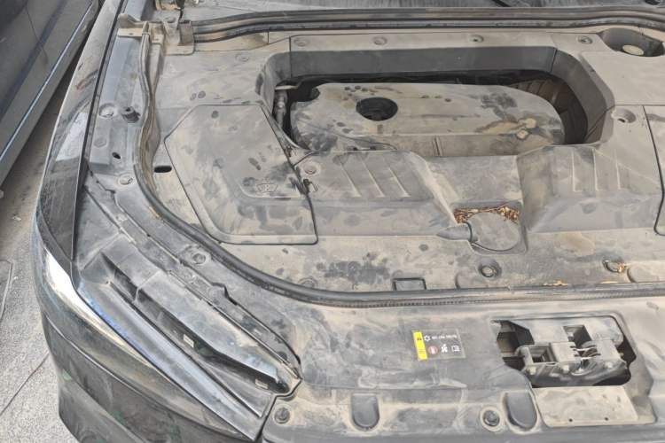 Used Wey VV6 2019 2.0T Two-Wheel-Drive Ultra-Luxury Version China VI Standard Engine Bay Right