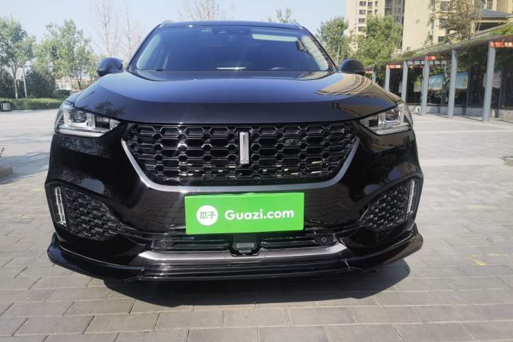 Used Wey VV6 2019 2.0T Two-Wheel-Drive Flagship Version China VI Standard Exterior 1