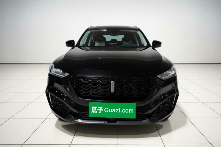 Used Wey VV6 2019 2.0T Two-Wheel-Drive Flagship Version China VI Standard Exterior 1