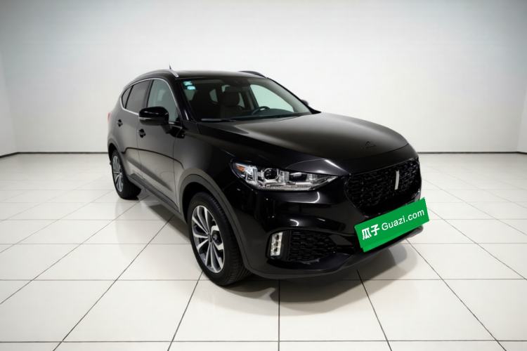 Used Wey VV6 2019 2.0T Two-Wheel-Drive Flagship Version China VI Standard Exterior 2