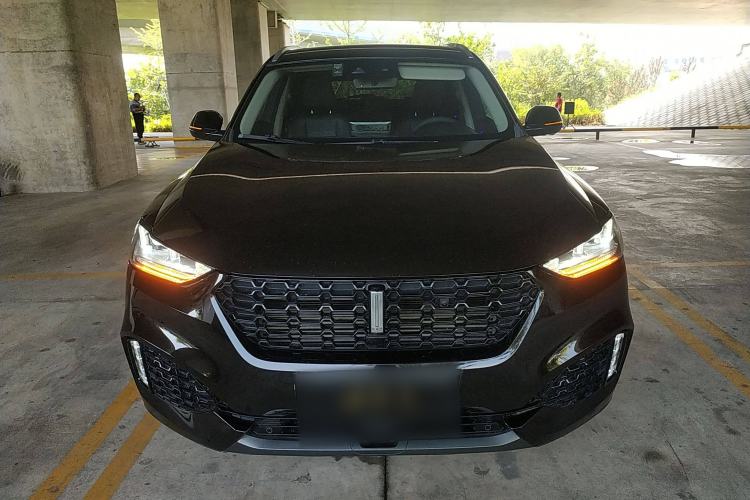Used Wey VV6 2019 2.0T Two-Wheel-Drive Flagship Version China VI Standard Front