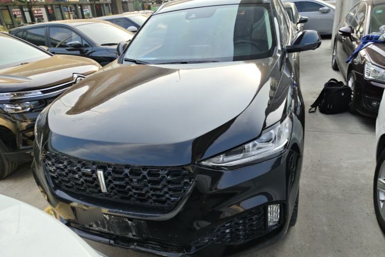 Used Wey VV6 2019 2.0T Two-Wheel-Drive Ultra-Luxury Version China VI Standard Front