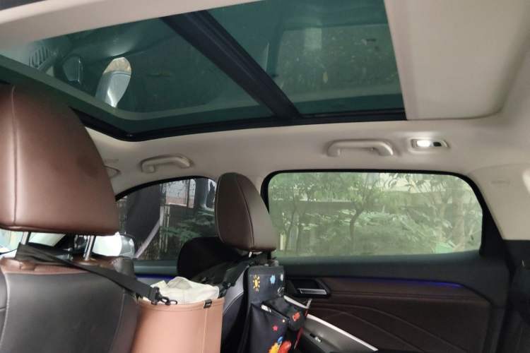 Used Wey VV6 2019 2.0T Two-Wheel-Drive Flagship Version China VI Standard Headliner