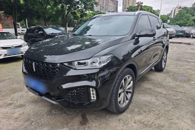 Used Wey VV6 2019 2.0T Two-Wheel-Drive Flagship Version China VI Standard