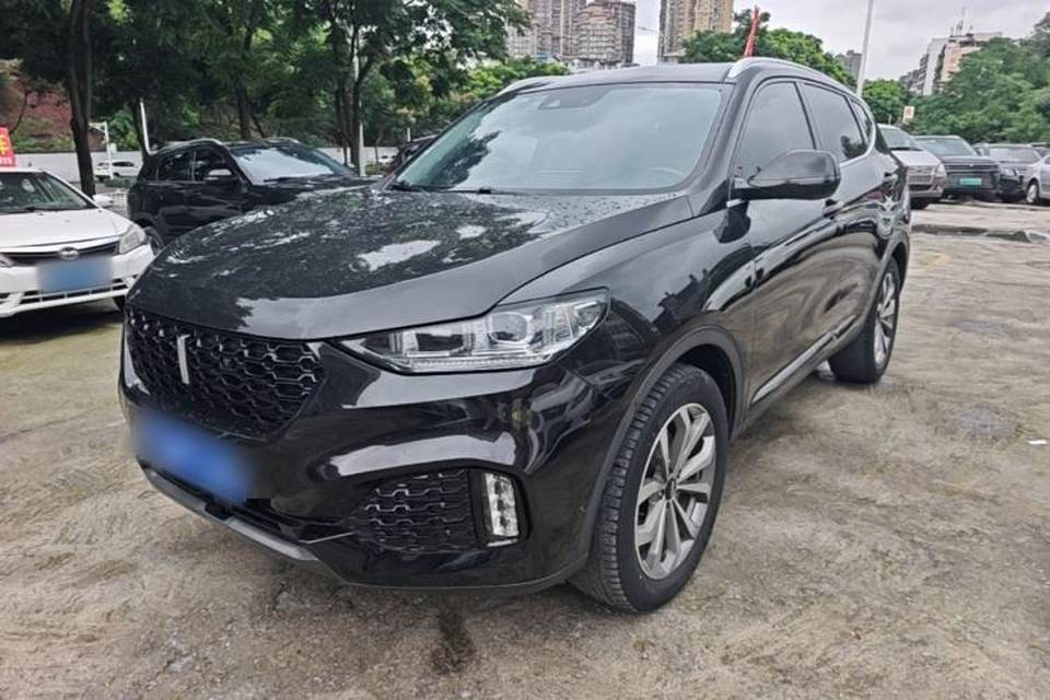 Wey VV6 2019