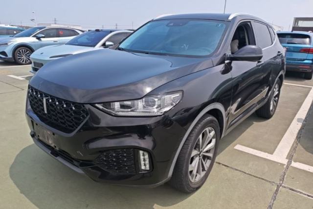 Used Wey VV6 2019 2.0T Two-Wheel-Drive Flagship Version China VI Standard