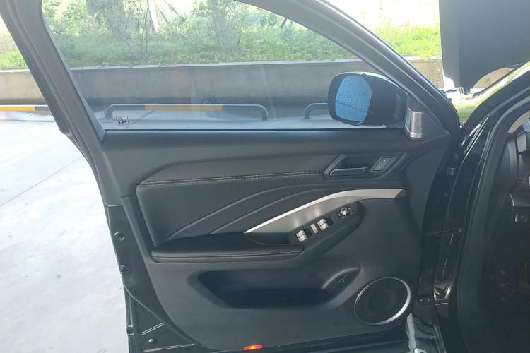 Used Wey VV6 2019 2.0T Two-Wheel-Drive Flagship Version China VI Standard Left Front Door Interior