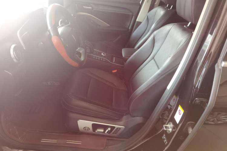 Used Wey VV6 2019 2.0T Two-Wheel-Drive Flagship Version China VI Standard Left Front Seat